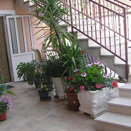 סקארדין Guest Accomodation Zura מראה חיצוני תמונה